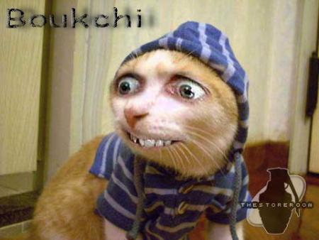 Mr Boukchi